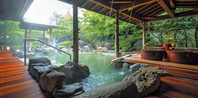 季節の松茸会席と世界屈指のラジウム温泉三朝温泉ご入浴2